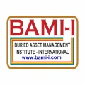 BAMI
